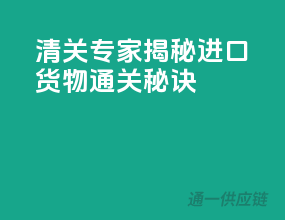 清关专家，揭秘进口货物通关秘诀