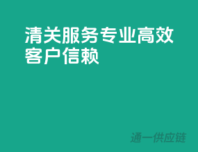 清关服务，专业高效，客户信赖