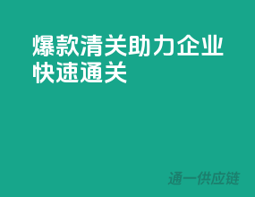 爆款清关，助力企业快速通关