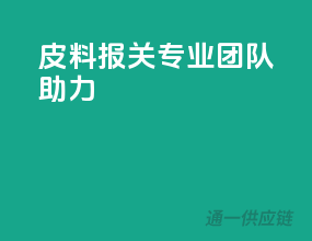 皮料报关，专业团队助力