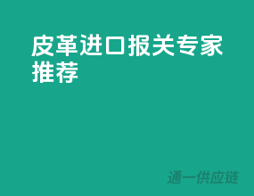 皮革进口，报关专家推荐