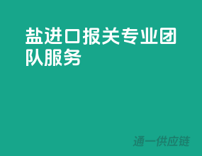 盐进口报关，专业团队服务