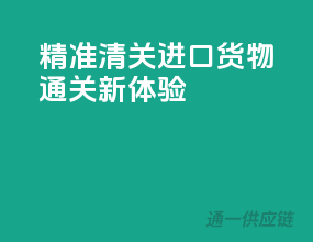 精准清关：进口货物通关新体验
