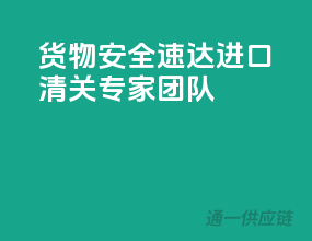 货物安全速达，进口清关专家团队