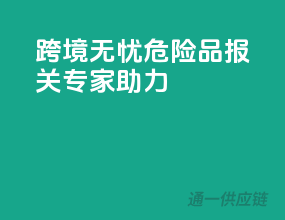 跨境无忧，危险品报关专家助力
