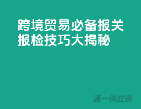 跨境贸易必备：报关报检技巧大揭秘