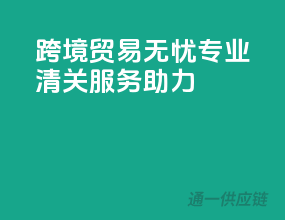 跨境贸易无忧，专业清关服务助力
