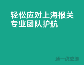 轻松应对上海报关，专业团队护航