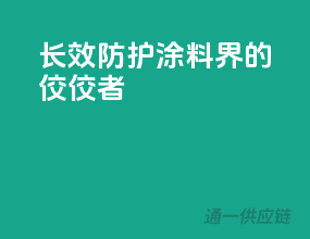 长效防护，涂料界的佼佼者
