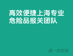 高效便捷，上海专业危险品报关团队