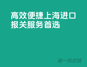 高效便捷，上海进口报关服务首选