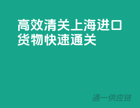 高效清关，上海进口货物快速通关