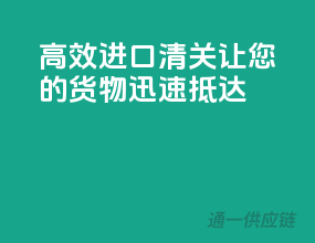 高效进口清关，让您的货物迅速抵达！