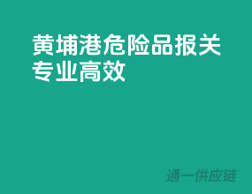 黄埔港危险品报关，专业高效