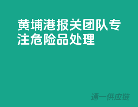 黄埔港报关团队，专注危险品处理