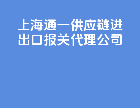 上海通一供应链进出口报关代理公司