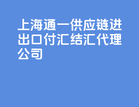 上海通一供应链进出口付汇结汇代理公司