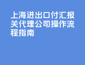 上海进出口付汇报关代理公司，操作流程指南