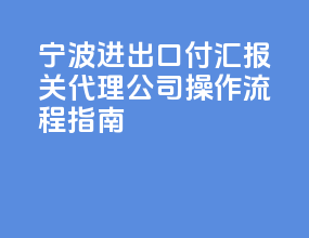 宁波进出口付汇报关代理公司，操作流程指南