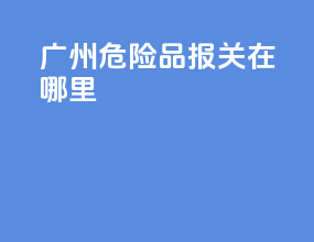 广州危险品报关在哪里