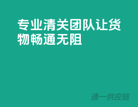专业清关团队，让货物畅通无阻