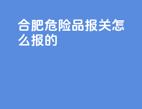 合肥危险品报关怎么报的