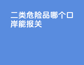 二类危险品哪个口岸能报关