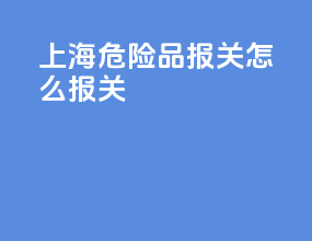 上海危险品报关怎么报关