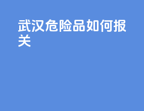 武汉危险品如何报关