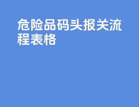 危险品码头报关流程表格