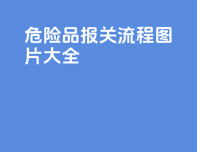 危险品报关流程图片大全
