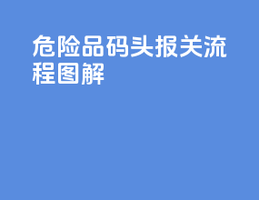 危险品码头报关流程图解