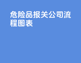 危险品报关公司流程图表