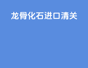 龙骨化石进口清关