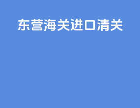 东营海关进口清关