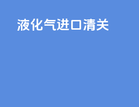 液化气进口清关