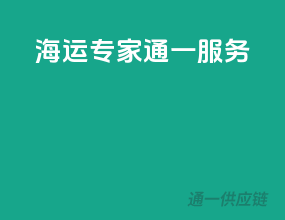 海运专家，通一服务