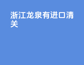 浙江龙泉有进口清关