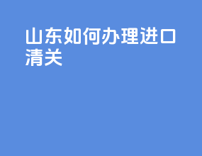 山东如何办理进口清关