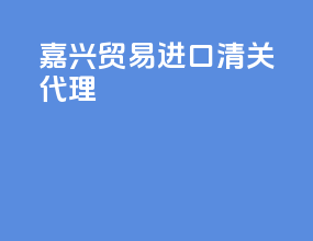 嘉兴贸易进口清关代理