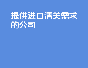 提供进口清关需求的公司