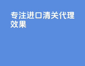 专注进口清关代理效果