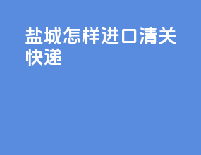盐城怎样进口清关快递