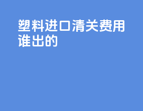 塑料进口清关费用谁出的