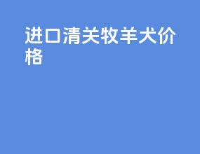 进口清关牧羊犬价格