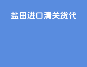 盐田进口清关货代