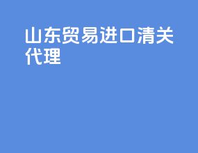 山东贸易进口清关代理