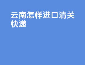 云南怎样进口清关快递