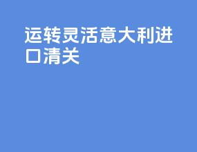 运转灵活意大利进口清关