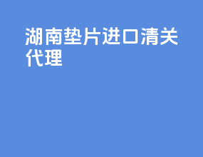 湖南垫片进口清关代理